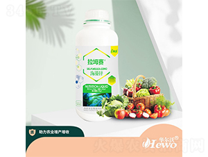 �����\-����ِ-�A����