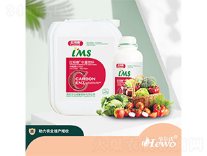 ����΢�a(b��)-����ِ-�A����