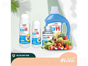 �Ǵ��}-�A����