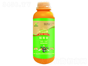 ������-�W�r(n��ng)����