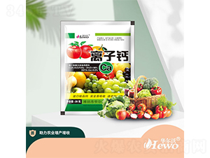 �x���}-�A����