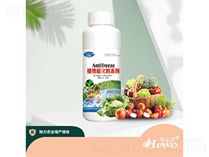 ֲ��Ż�������-�A����