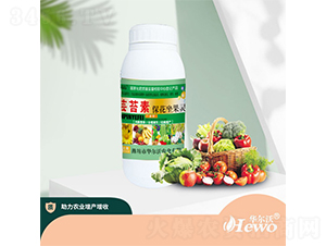 �|̦�ر��������`-�A����