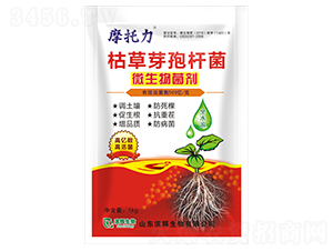 �ݲ�ѿ�ߗU��-Ħ����-�I�x����