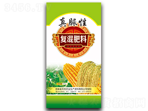 ��(f��)�����-������-��������