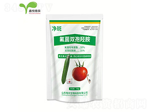 �����p���u��-����-�ΐ��r(n��ng)�I(y��)