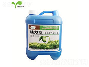 ���������͹��-������-�ΐ��r(n��ng)�I(y��)