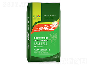 �ЙC(j��)���������{(di��o)��(ji��)��-��������-�����r(n��ng)�I(y��)