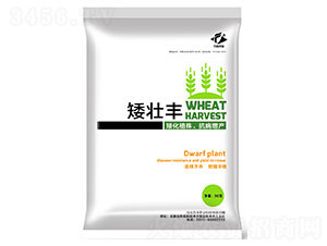 ���L�{(di��o)��(ji��)��-�����S-�����r(n��ng)�I(y��)