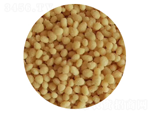 ������ȫ�ܵ����w��-���ʘI(y��)