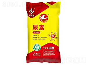 �t�������w������-���o����