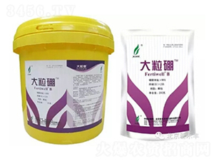 ������-�G���r�I(y��)