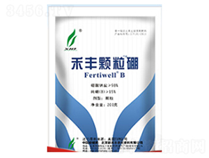 ���S�w����-�G���r�I(y��)