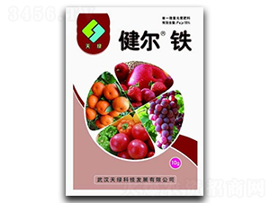 �����F-��G�Ƽ�