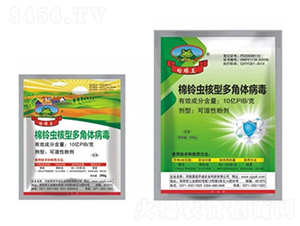 ����x���Ͷ���w����-�����-�¹�