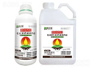 ���¿�-ԭ֮��