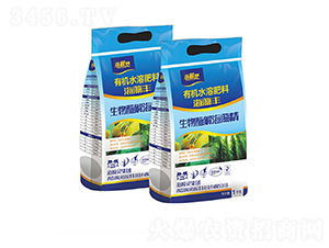 ����ø�⺣�徫-�����S-���L�`