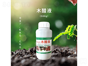 ľ��Һ-��������