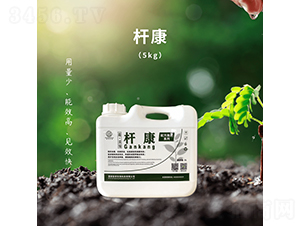 �U��-��������