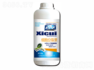 ��(x��)��������-�������� 