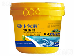 ����(y��u)���~����-��������