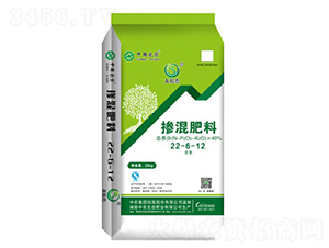 �������22-6-12-�Ѽ��B(t��i)-���r(n��ng)���B(t��i)