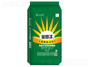 �ЙC-�o�C�ͻ����20-5-8-������1+1-���r(n��ng)���B(t��i)