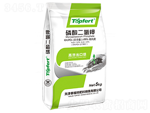 ��������-̩���ط���