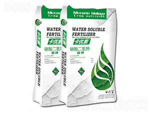 ����(y��u)����������-��������