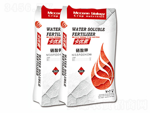 ����(y��u)�������-��������