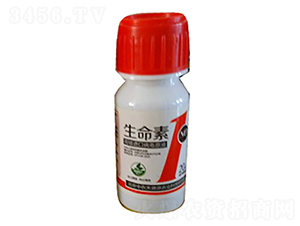 �����ޏ�(f��)��-������1̖-���r(n��ng)����