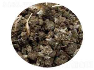 �������͸��u�S-��(qi��ng)�r(n��ng)�ʘI(y��) 