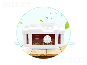 ����������-��������