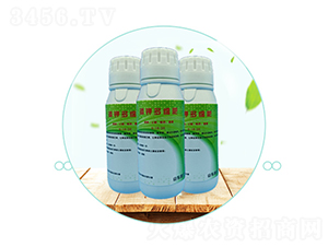 ��⛶�S��-��������