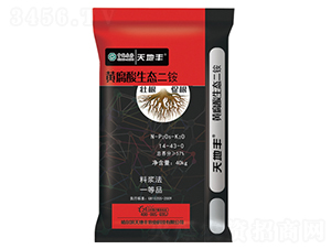 �S�������B(t��i)����-����S