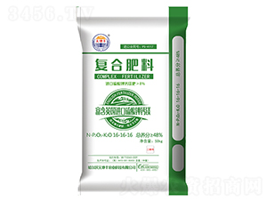 ������}�V�ͻ����16-16-16-����S