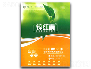 �\�t�ط���-���r