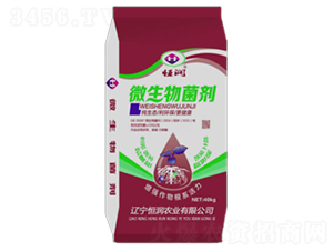 ΢�������-�㝙��-�㝙�r(n��ng)�I(y��)