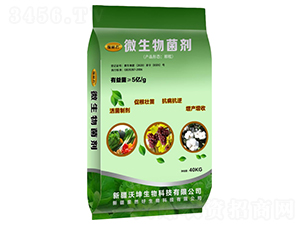 ΢�������-���־�-����