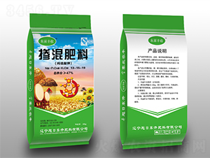 �������13-15-19-�|�N�S��-���Ֆ|��