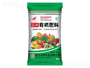 �ЙC(j��)����-������(sh��)�I(y��)