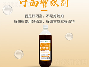 �~����Ч��-������-���S����