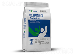 ΢�������-�֠��~