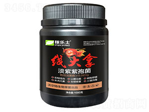 �����ã��������߾���-�ژ���-�֠���