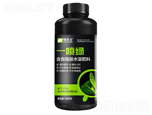 һ���G������ֲ��ˮ�ܷ��ϣ�-�ژ���-�֠���