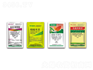 ����������ó��݄��M��-�滯���h