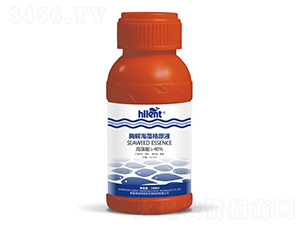 ø�⺣�徫ԭҺ-���{(l��n)��