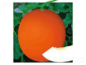 ��ʥ��M112-��ϷN��-��ʥ��