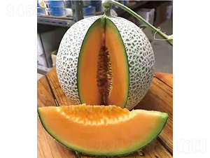 ��ʥ��M17-12-��ϷN��-��ʥ��