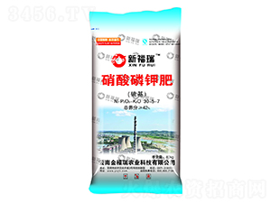 ������⛷�-�¸���-����